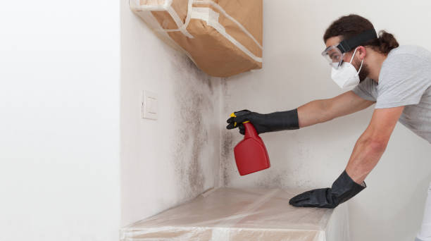 Professional Mold Remediation technician working in Sparta, MI