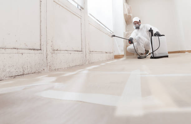 24/7 Emergency Mold Remediation experts in Sparta, MI