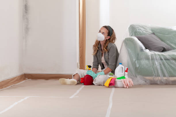 Reliable Mold Remediation contractor in Sparta, MI by Car Mold Remediation